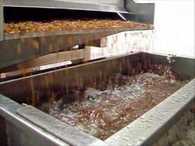 washing sultanas, raisins processing line, fineberry foods
