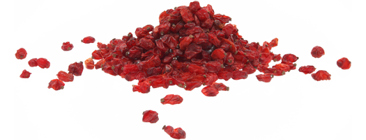 Barberries, Iranian barberries, barberry, Supplier, Fineberry Foods